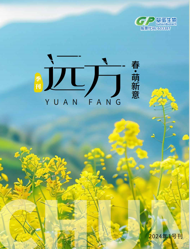 2024年 第一期